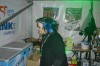2015_disco022